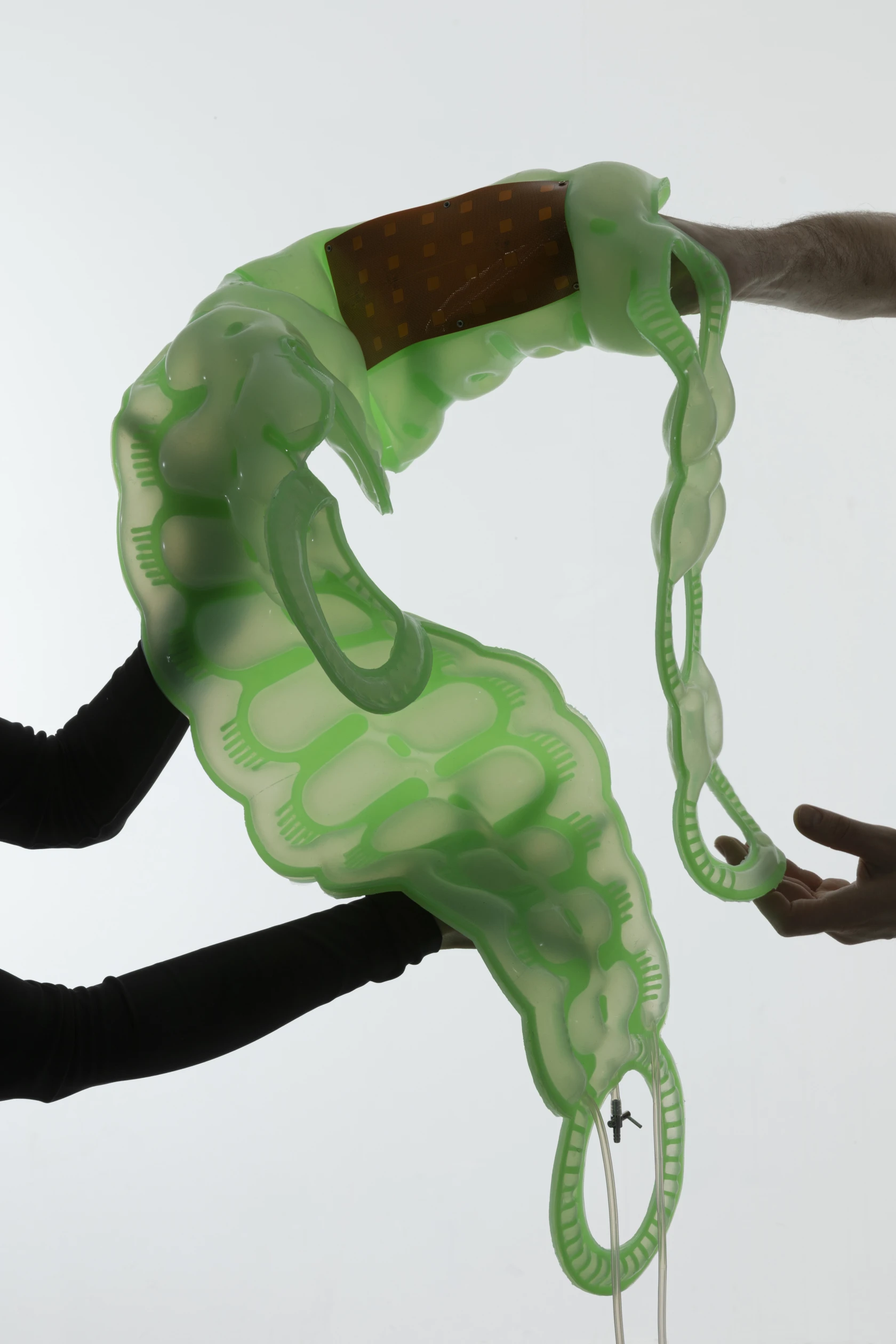 softcollision_annaschaeffner_creditsmichellemantel.jpg